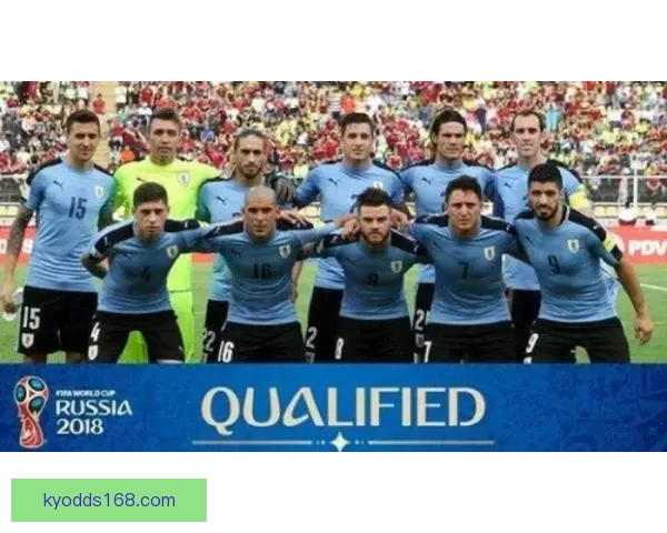 世界杯2026精彩预测指南全方位解析球队夺冠走势